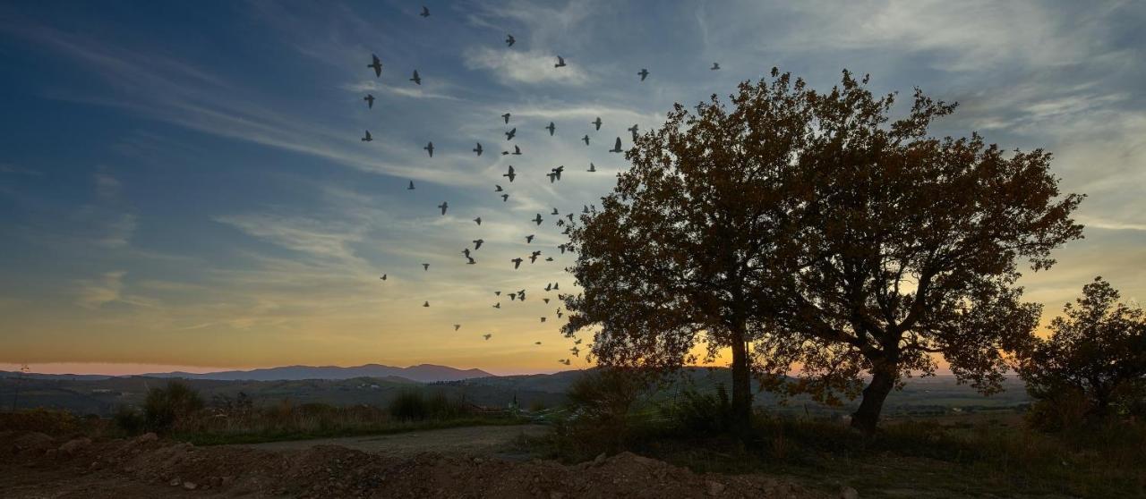 Poggio Tamantino, Villa Con Piscina In Maremma Poggio Cavallo Eksteriør billede